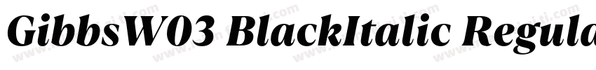 GibbsW03 BlackItalic Regular字体转换